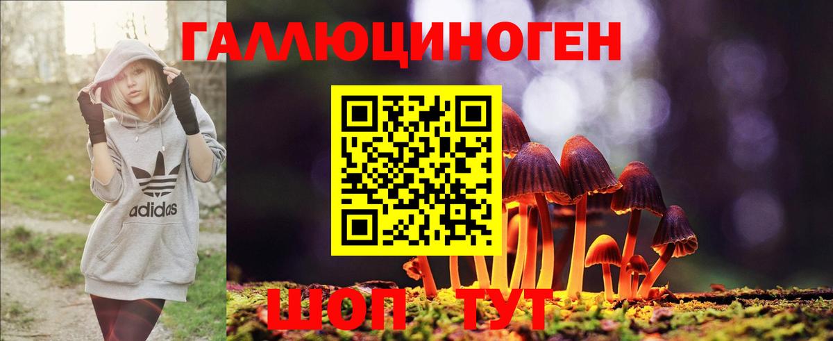 Псилоцибиновые грибы Psilocybe Ноябрьск